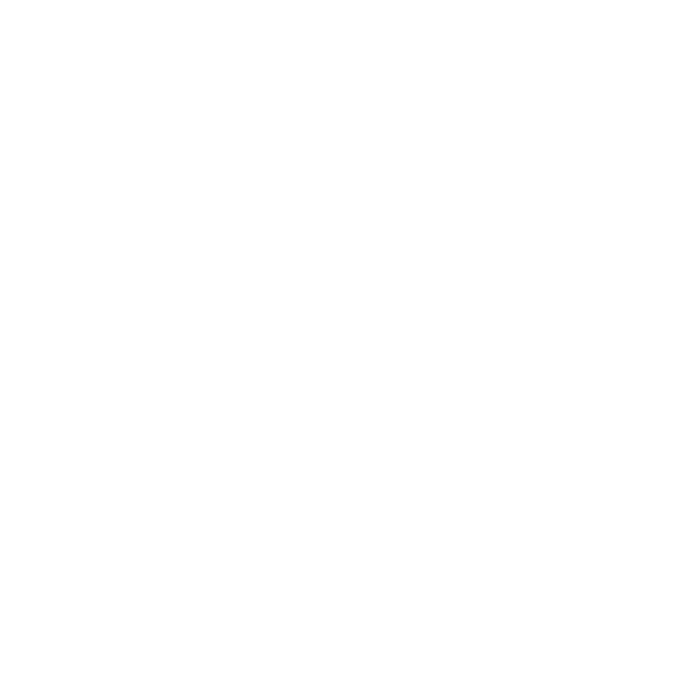UFAM Logo